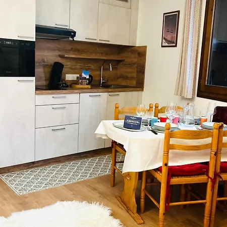 Cosy Proche Pistes, Parking, Wifi - Fr-1-688-31 公寓 *